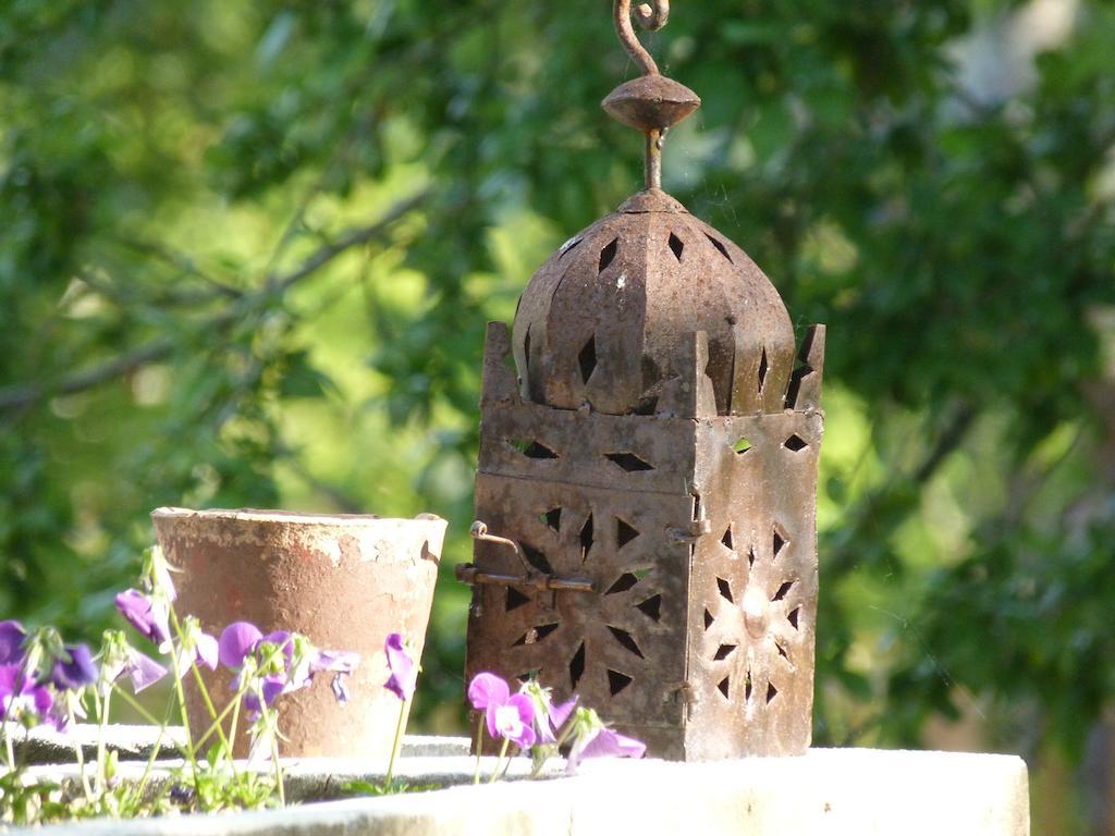 Domaine Des Deux Cedres Bed and Breakfast Gauriac Eksteriør billede